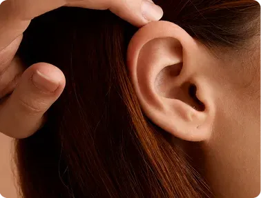 Ear